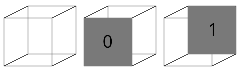 The Necker cube: an example of bistable perception.