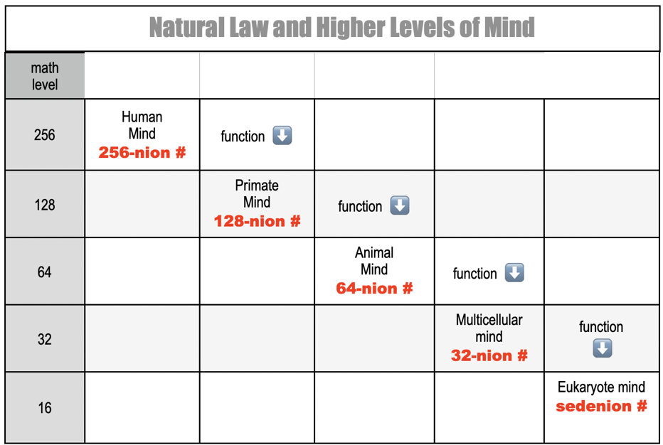 The Human Mind